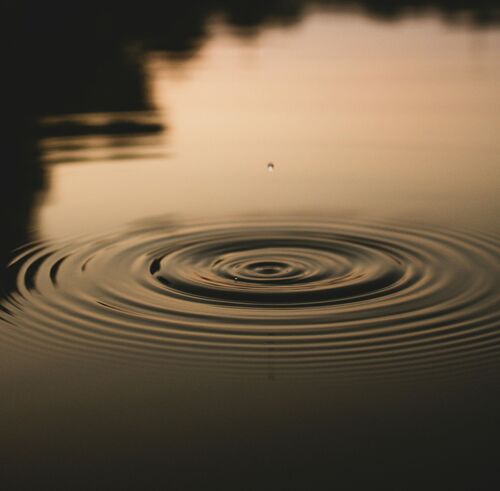 pexels.com / viktoria emilia