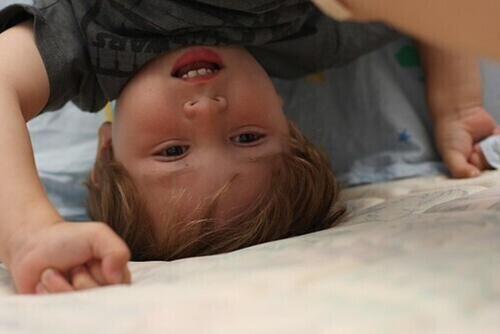 Steven Miller / flickr.com